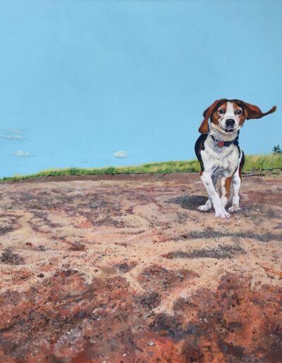 Image © Louise Cloutier. All rights reserved.