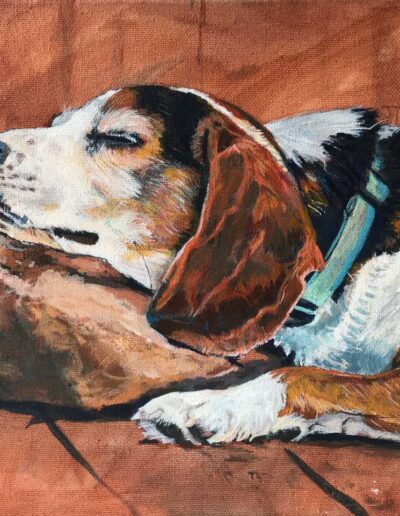 Image © Louise Cloutier. All rights reserved